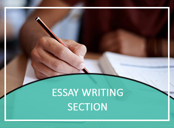 Essay Writing Section